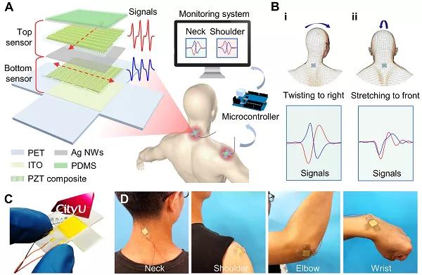 香港城大楊征保課題組Science子刊：一種新型柔性壓電陶瓷剪紙，用于預防關節(jié)疾病